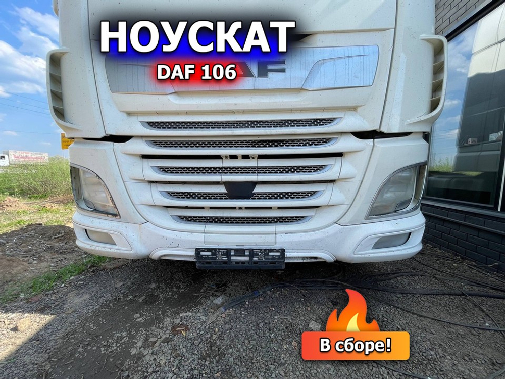 Ноускат 2020г.