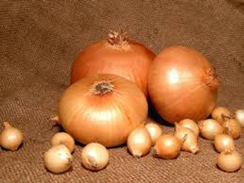 Лук - севок Штутгартер ризен ( Россия) 1кг