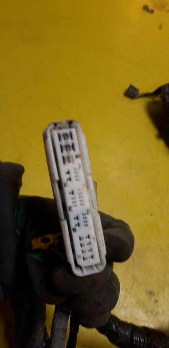 20191014_114551.jpg