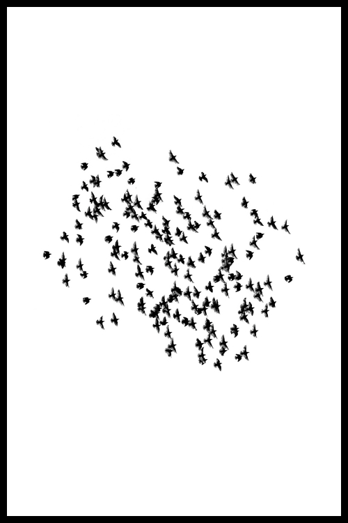 Интерьерная картина в технике цифровой печати. АРТ 013 Черное и белое