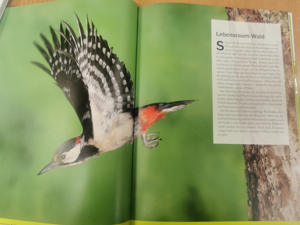 Lesen - Staunen - Wissen. Wald