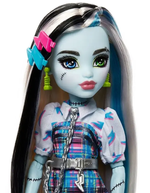 Кукла Monster High «Day Out Frankie Stein» HKY73 — прогулочная версия hky73_УЦЕНКА