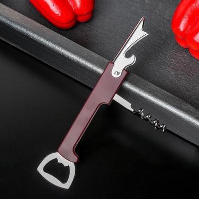 Открывашка универсальная Доляна «Цветная», 13 см, цвет МИКС