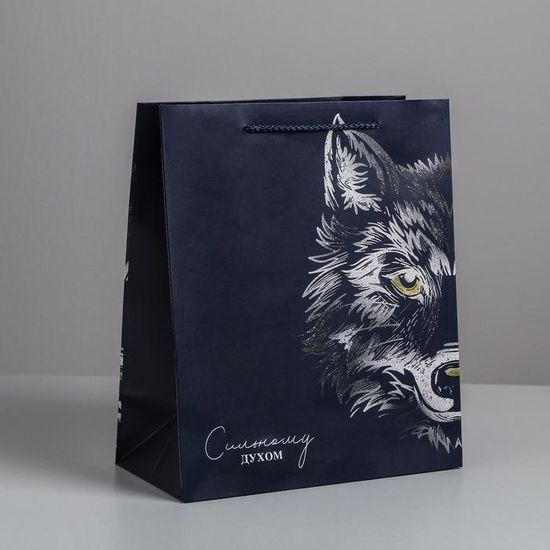 Пакет ламинированный вертикальный «Сильному духом», MS 18 × 23 × 10 см 4733794