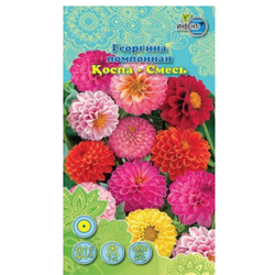 Семена Астра Хризантелла Тропикана Инвент +