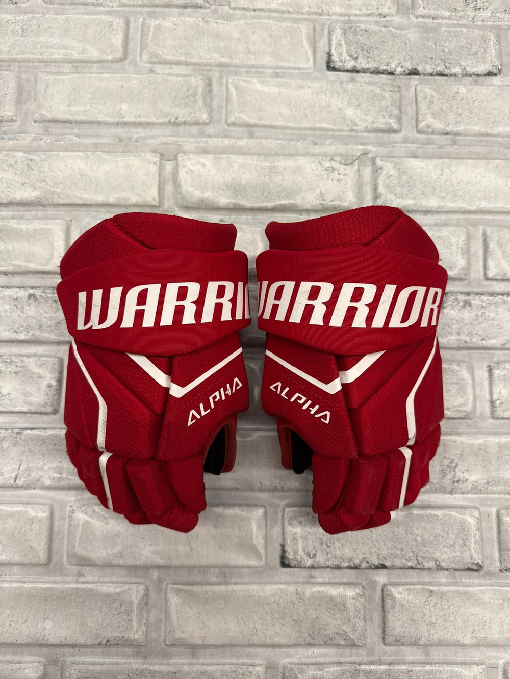 Warrior alpha YTH 10"