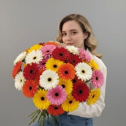 Гербера желтая, белая, красная, малиновая в монобукете.