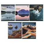 Тетрадь 36 л., А5, клетка, Alingar "Good nature", скрепка, офсет, мелованная бумага, 5 дизайнов в пленке т/у