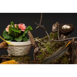 Чаша Birds of Paradise, 850 мл, кремовая