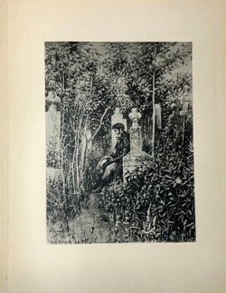 Пушкин А. С. Бахчисарайский фонтан. Поэма. М., Типо-лит М. Я. Минкова, 1899г.
