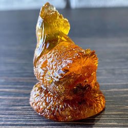 Курица с яйцами