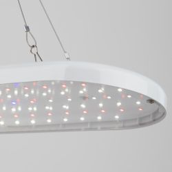 Светильник для растений ЭРА FITO-25W-QLED-FLY подвесной полного спектра 25 Вт