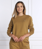 Худи Trussardi - коричневый(56F00216 1T006039)