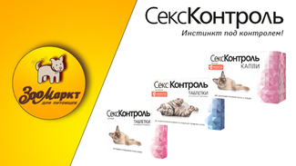 Акция Секс-Контроль