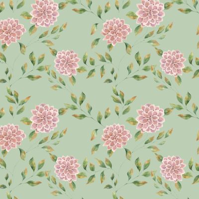 Цветы астры