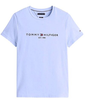Мужская теннисная футболка Tommy Hilfiger Logo T - небесный