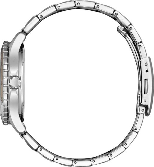 Наручные часы Citizen FE6170-88D