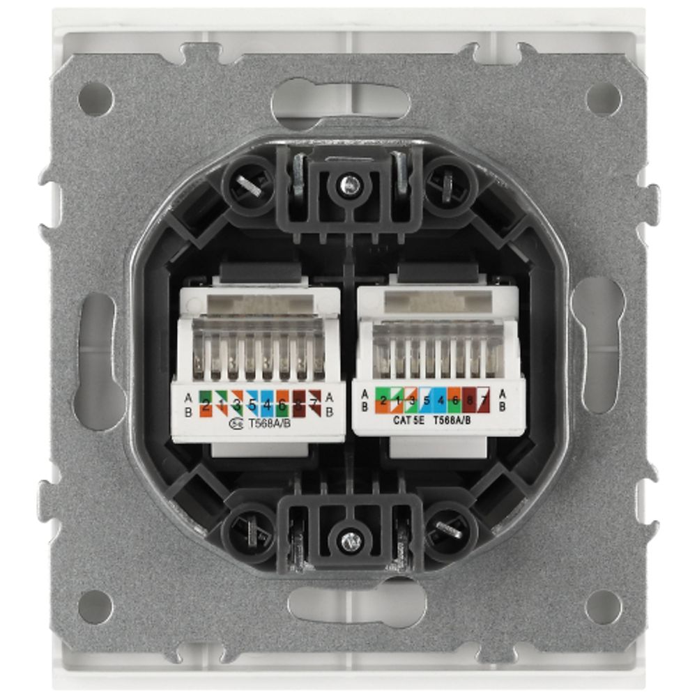 Розетка ЭРА Arktik 16-3108-08 информационная двойная 2XRJ45 белый матовый | Эра Arktik