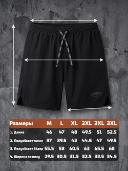 Шорты с карманами на молнии LEGENDA Urban 2.0 черные