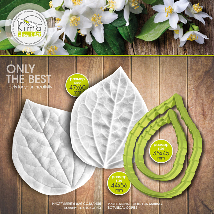 Жасмин лист большой