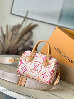 Louis Vuitton Speedy 20