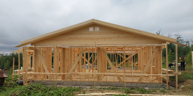 Строительство каркасного дома