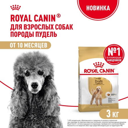 Royal Canin POODLE ADULT Пудель Эдалт Корм сухой для взрослых собак породы пудель старше 10 месяцев 3кг