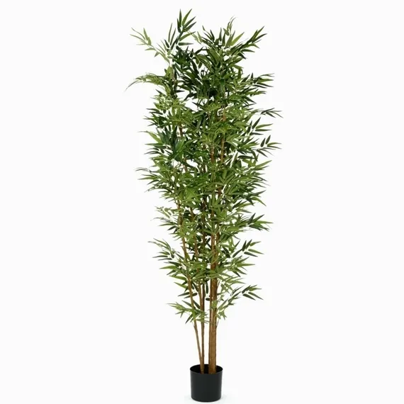 Бамбук высота 210 см, 7 стволов