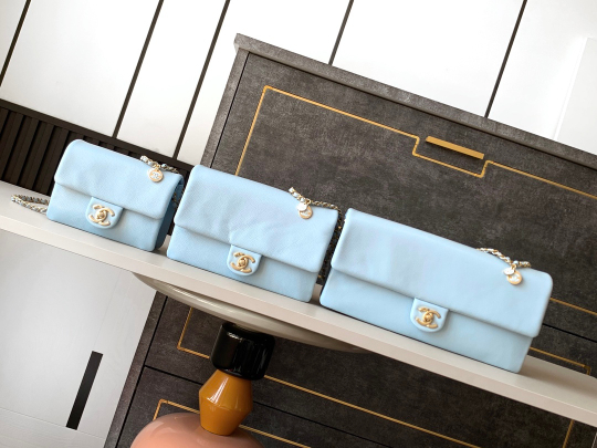 Chanel Bag (3 sizes)