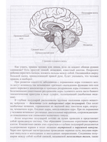 Неврологические нарушения у детей. Причины, профилактика, коррекция.