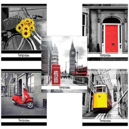 Тетрадь 48л, А5, клетка, Brauberg Акцент, выборочный лак