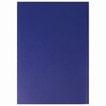 Журнал учета проверок юр.лиц и ИП, 96 л., бумвинил, блок офсет, фольга, А4 (200х290 мм), BRAUBERG, 130235