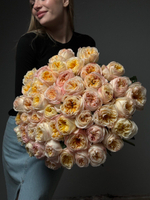 Букет из 51 кремовых пионовидных роз под ленту