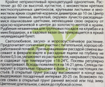 Рудбекия хирта Осенний Лес 0,2 г СМЦ-570