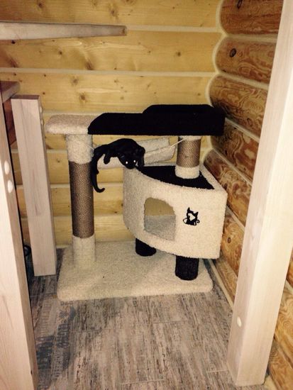 Домик для кота К-126