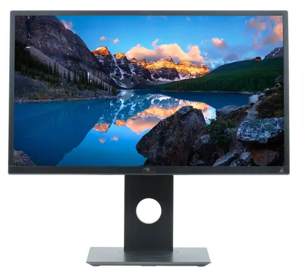 24" Монитор Dell Flat Panel P2417H