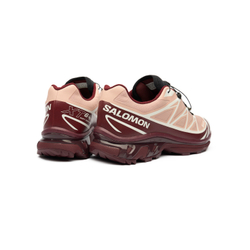 Кроссовки Salomon XT-6 GTX "Mahogany Rose"