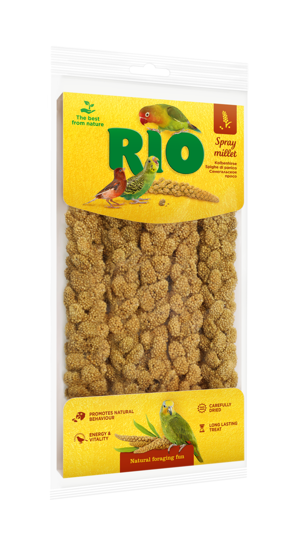RIO (Рио) Сенегальское просо в колосьях