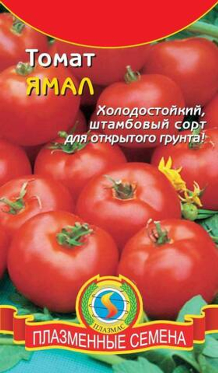 Томат Ямал