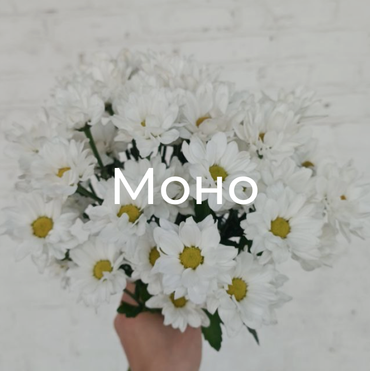 Монобукеты