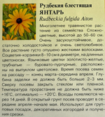 Рудбекия мн. Янтарь 0,05 г СМЦ-577