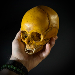 Маленький монстр