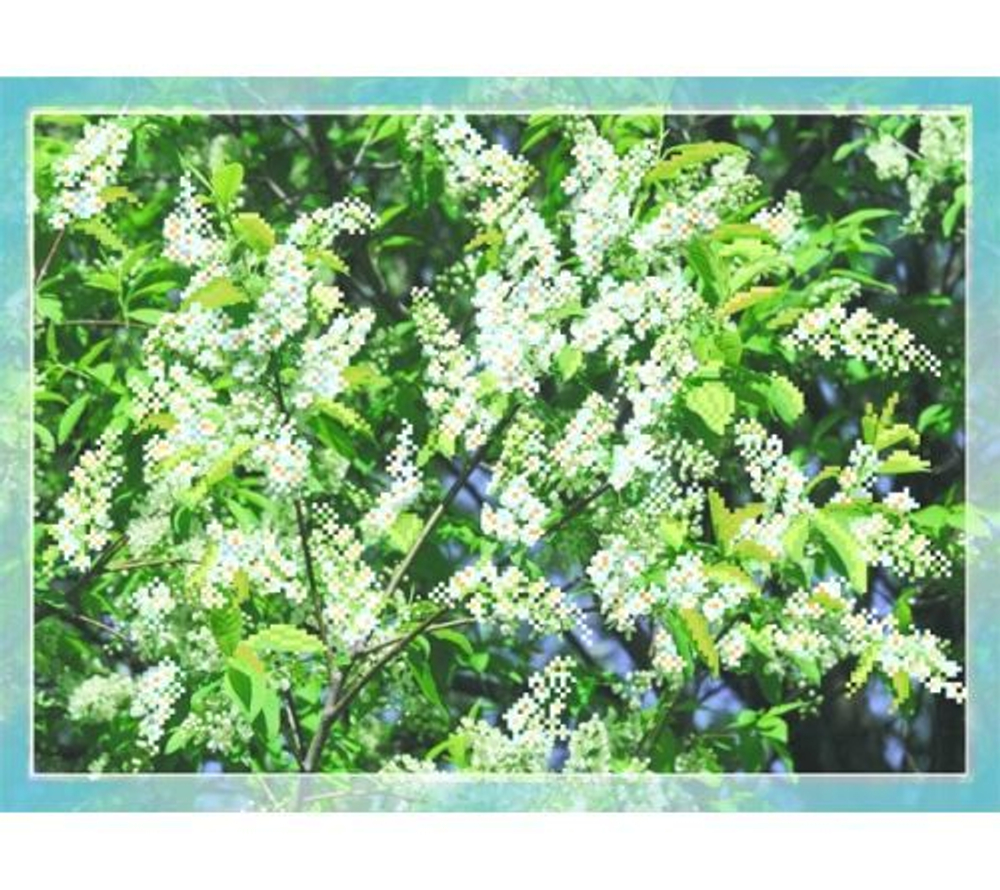 В состав набора входит: рисунок на шелке для вышивки бисером, руководство по вышиванию. Размер ткани