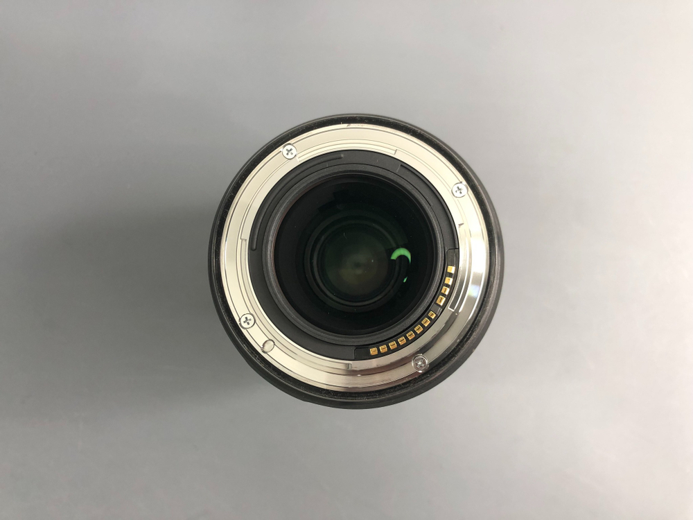 Canon RF 100mm 2.8 L Macro IS USM