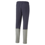Мужские брюки PUMA teamCUP Casuals Pants