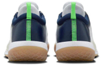 Кроссовки Nike Zoom Court Nxt Hc