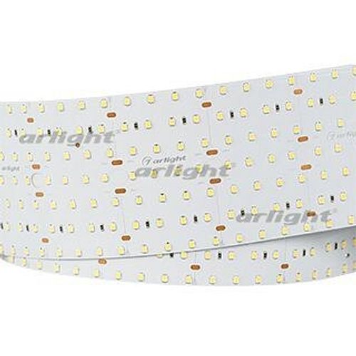 Лента светодиодная Arlight 023409