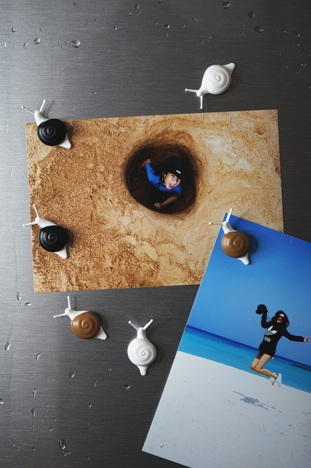 Магниты snail, 6 шт.