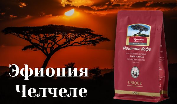 Уникальный кофейный лот из Африки уже в продаже