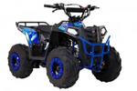 Квадроцикл WELS THUNDER EVO M детский